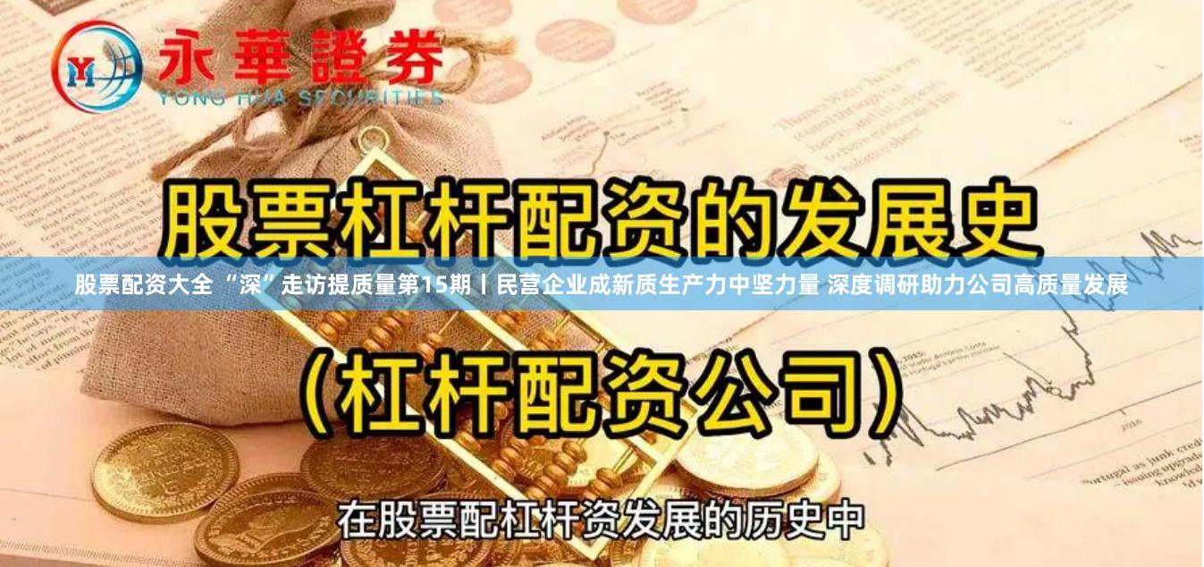 股票配资大全 “深”走访提质量第15期丨民营企业成新质生产力中坚力量 深度调研助力公司高质量发展