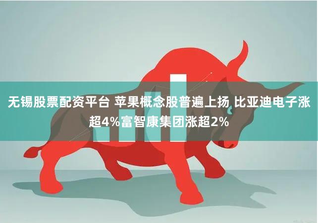 无锡股票配资平台 苹果概念股普遍上扬 比亚迪电子涨超4%富智康集团涨超2%