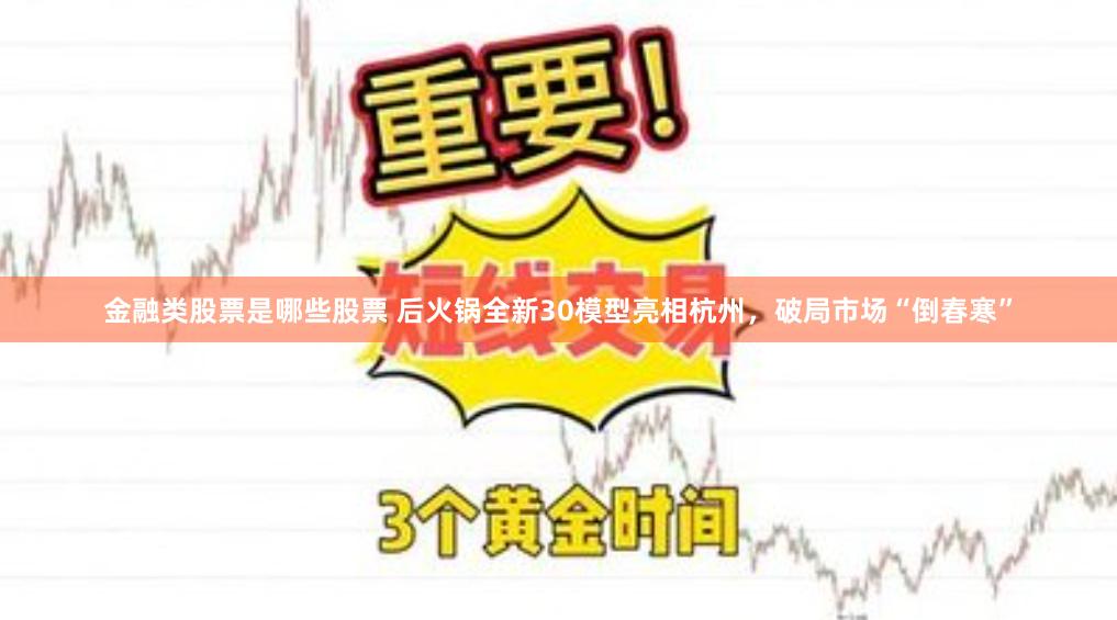 金融类股票是哪些股票 后火锅全新30模型亮相杭州，破局市场“倒春寒”